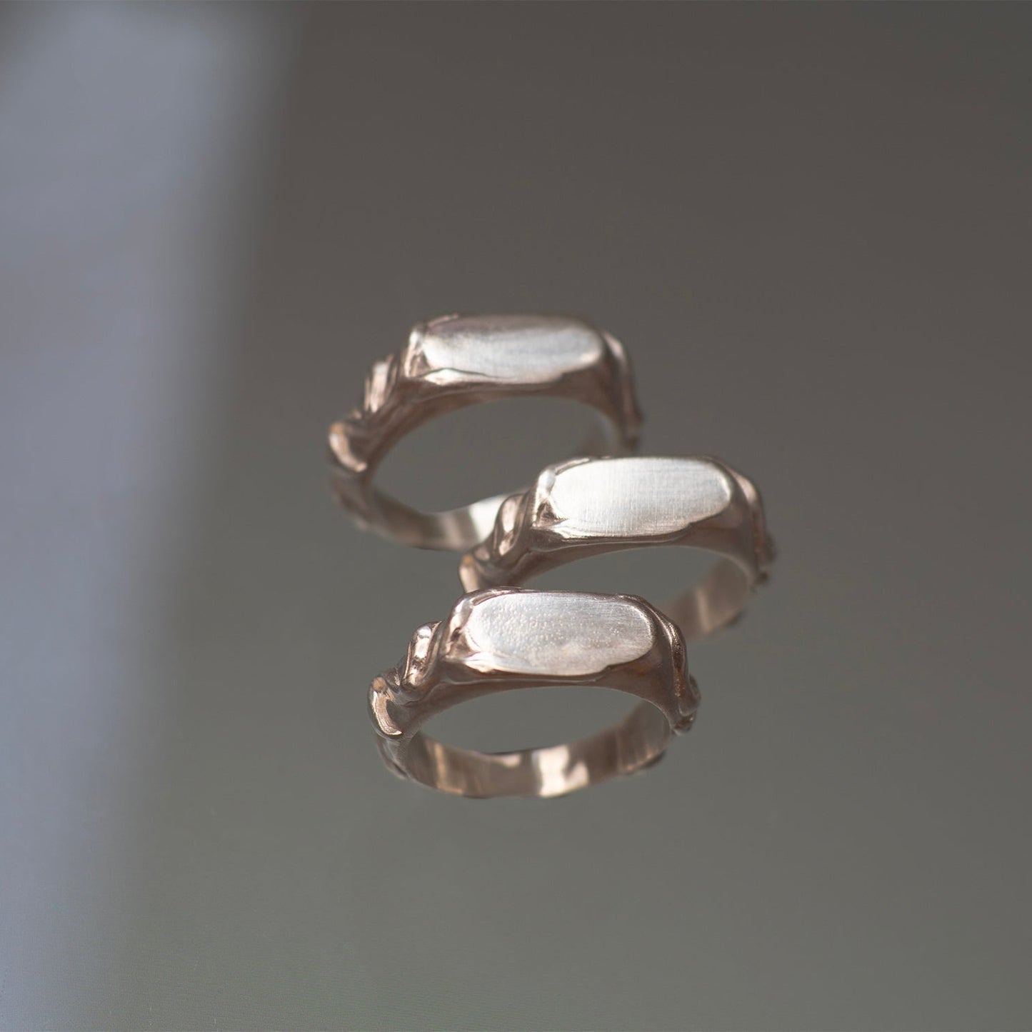 Silver ring with three horizontal bands on a gray background with vine leaf detailing